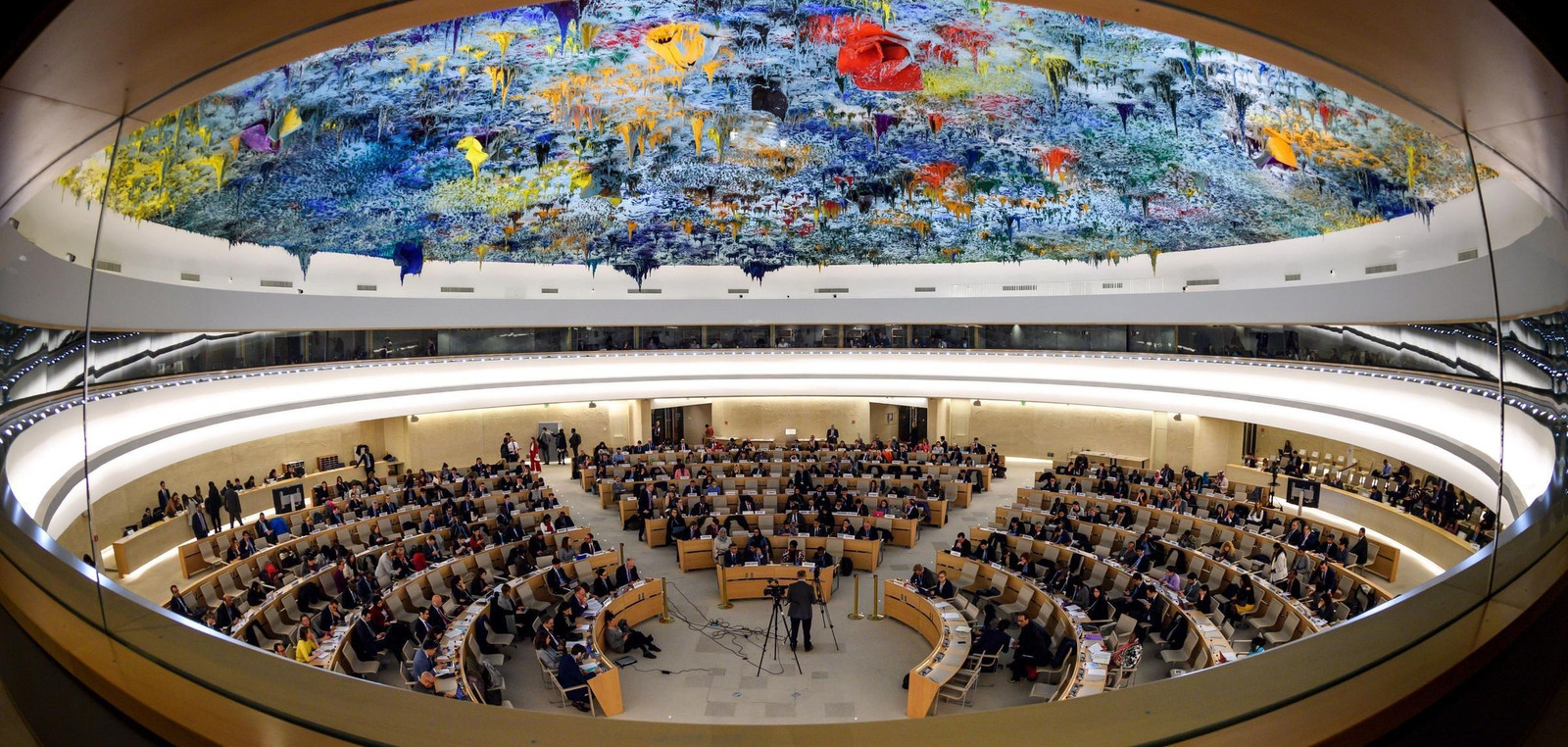 Human Rights Council