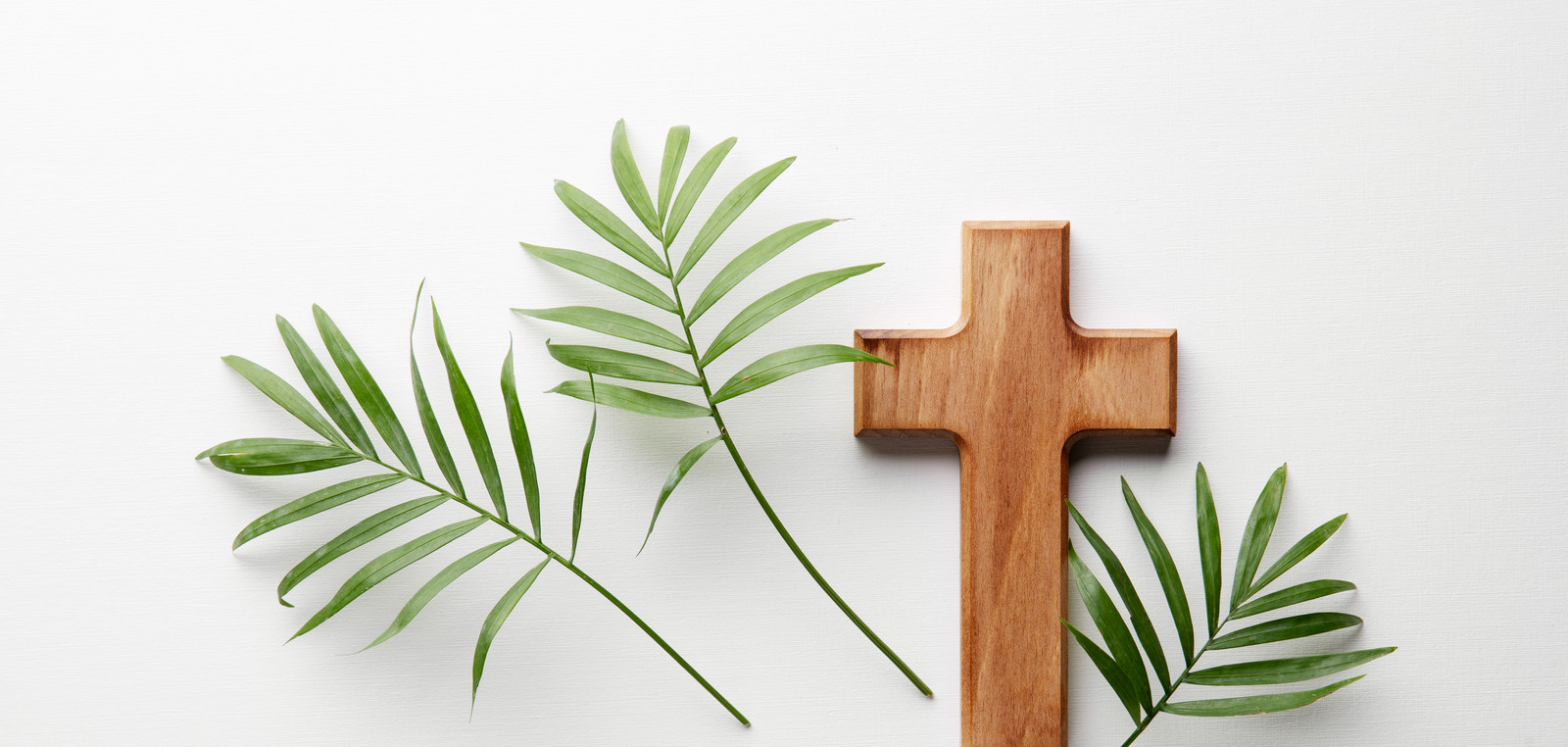 Ash Wednesday St Francis College ash-wednesday-st-francis-college